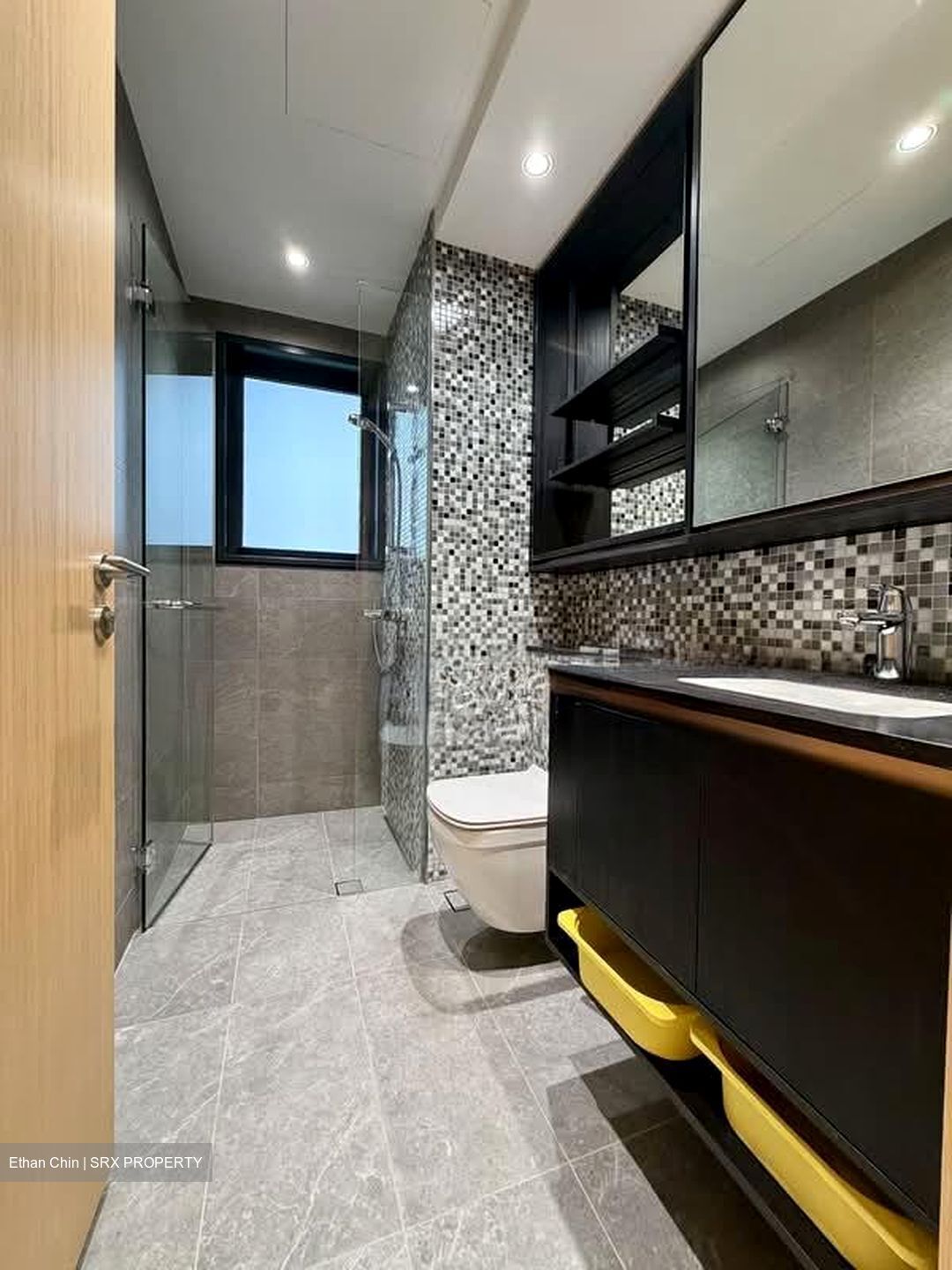 The Antares (D14), Apartment #566368691